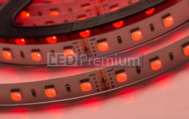 картинка Светодиодная лента RT 2-5000 24V Rgbw-One Day 2x (5060, 300 LED, LUX) (LED-ленты)