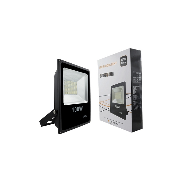 картинка Уличный светильник FL-SMD-100-CW