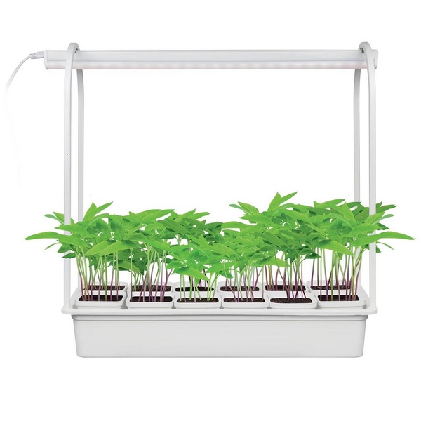 картинка Фитосветильник ULT-P34-10W/SPSB IP40 WHITE 12