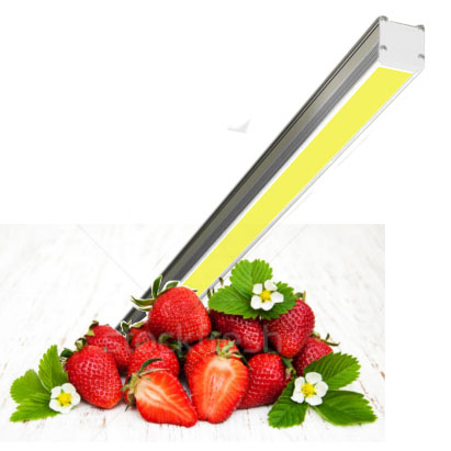 картинка Фитосветильник SSO-220/16-05.2(FGL-GP)