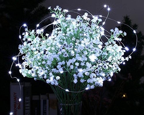 картинка Светодиодная нить с корпусом питания типа B