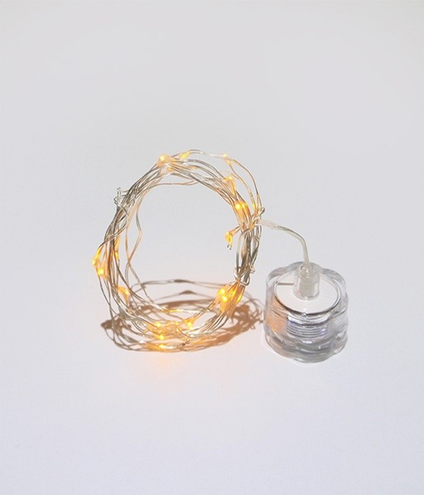 картинка Светодиодная нить с корпусом питания типа B