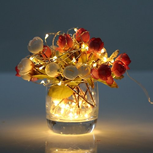 картинка Светодиодная нить с корпусом питания типа B