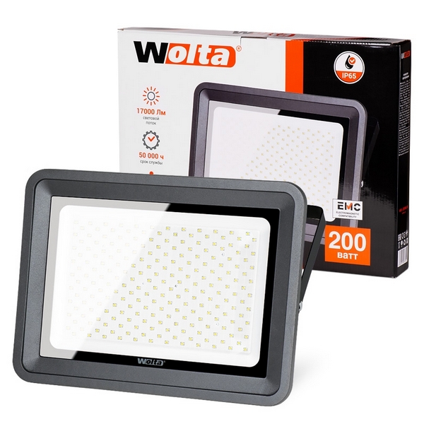 картинка Уличный светильник WFL-200W/06