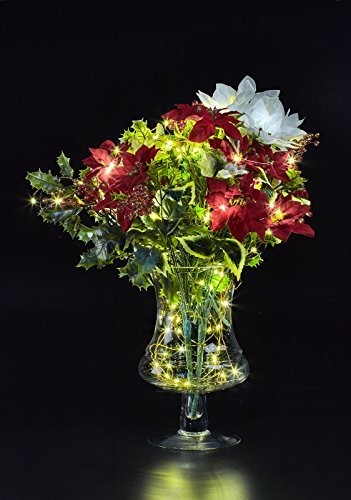 картинка Светодиодная нить с корпусом питания типа B