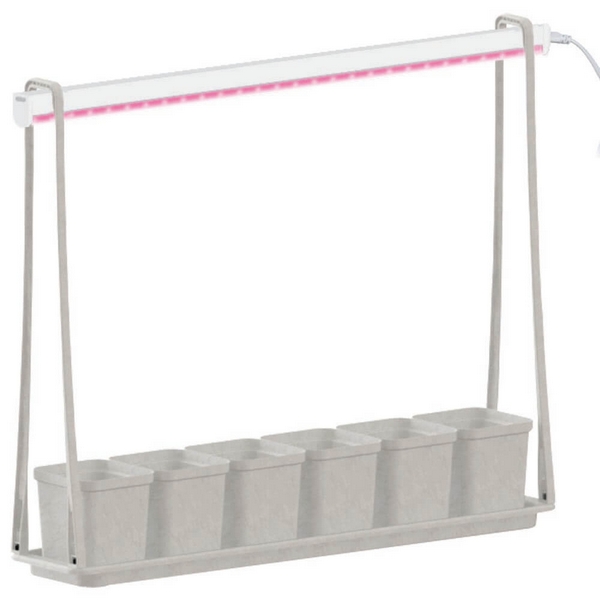 картинка Фитосветильник ULT-P56-10W/SPSB IP20 MARBLE ECONOM