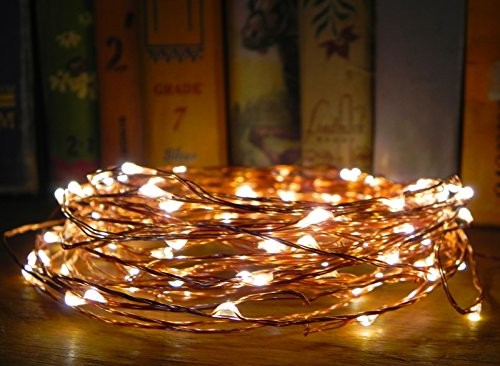 картинка Светодиодная нить с корпусом питания типа D