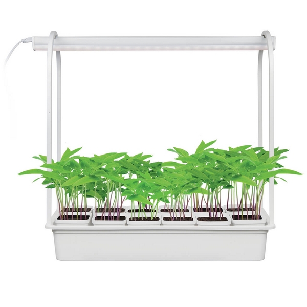 картинка Фитосветильник ULT-P34-10W/SPBR IP20 WHITE 12