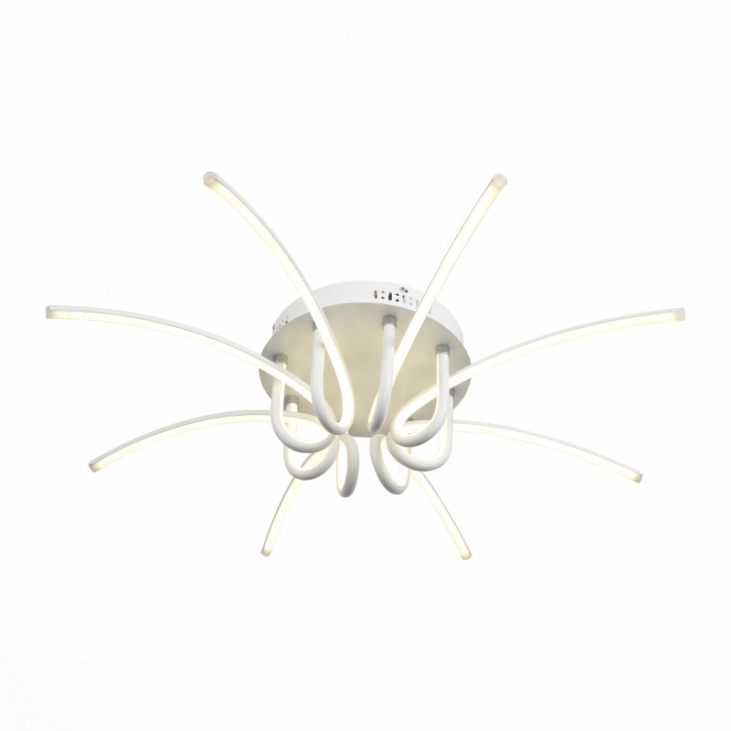 картинка Накладной светильник SL953.502.08