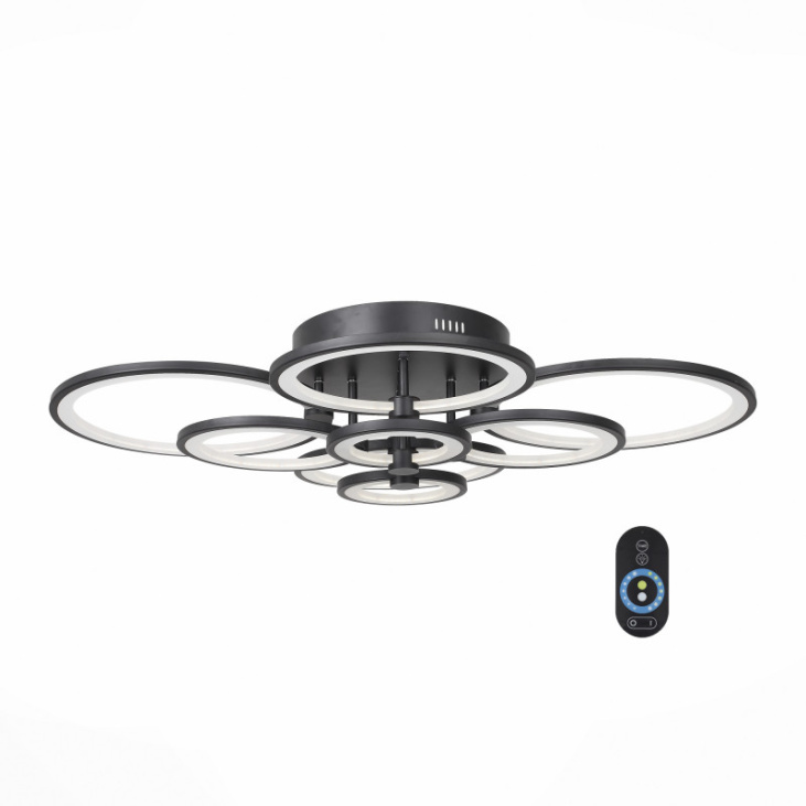 картинка Накладной светильник SL867.402.08