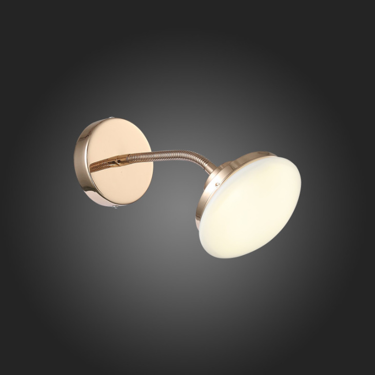 картинка Настенный светильник SLE120.201.01