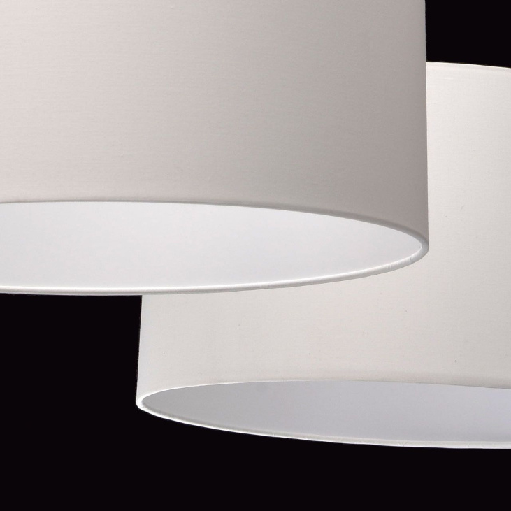 картинка Потолочный светильник Райне/Rheine 494012102