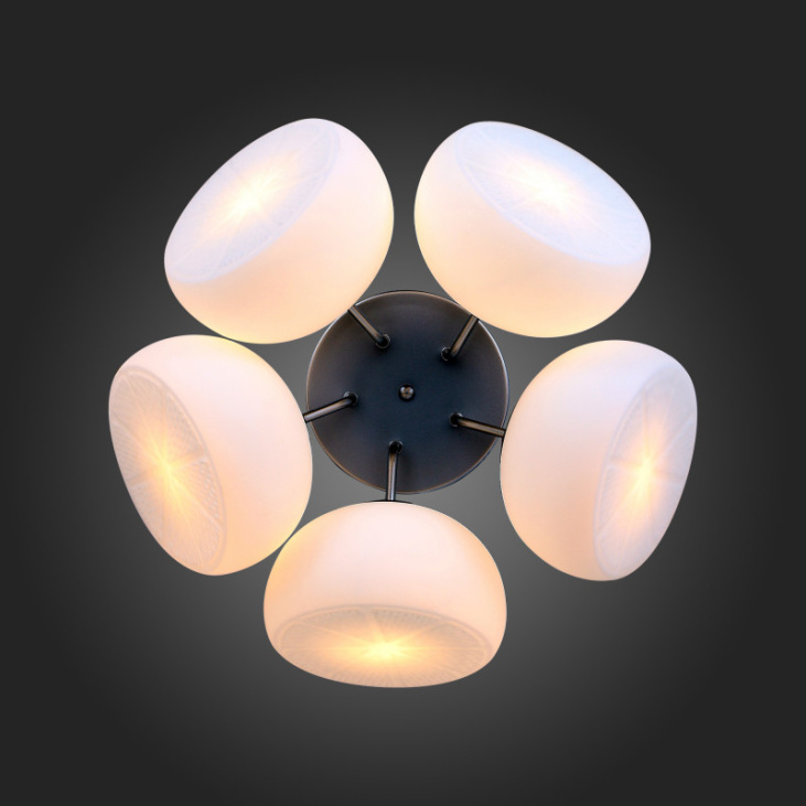 картинка Люстра SL482.502.05