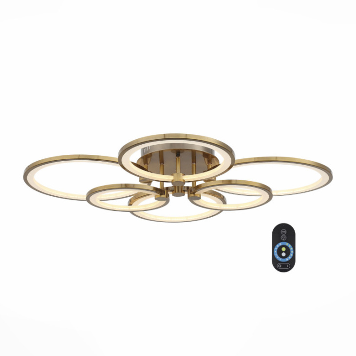 картинка Накладной светильник SL867.302.06