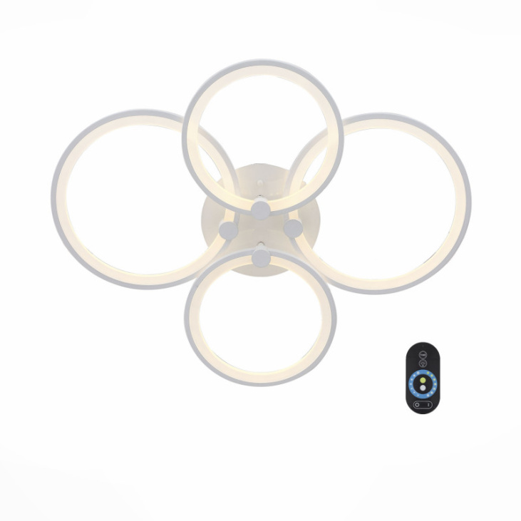 картинка Накладной светильник SL867.502.04