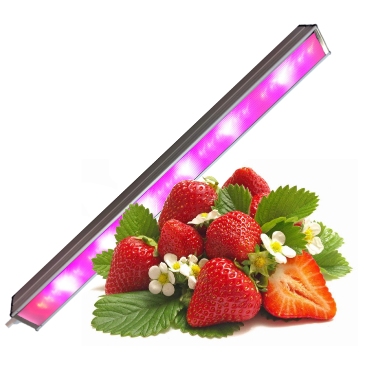 картинка Фитосветильник SSO-220/96-05.2(FGO-UP)