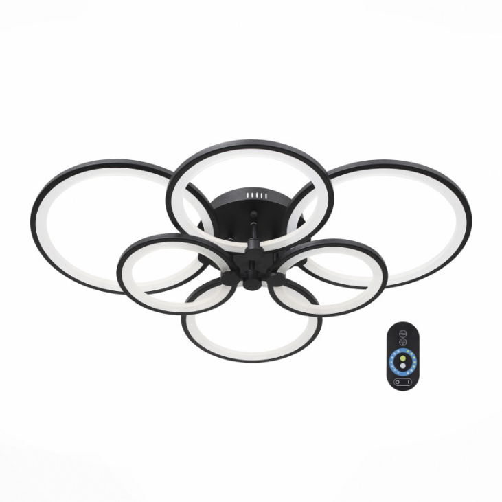 картинка Накладной светильник SL867.402.06