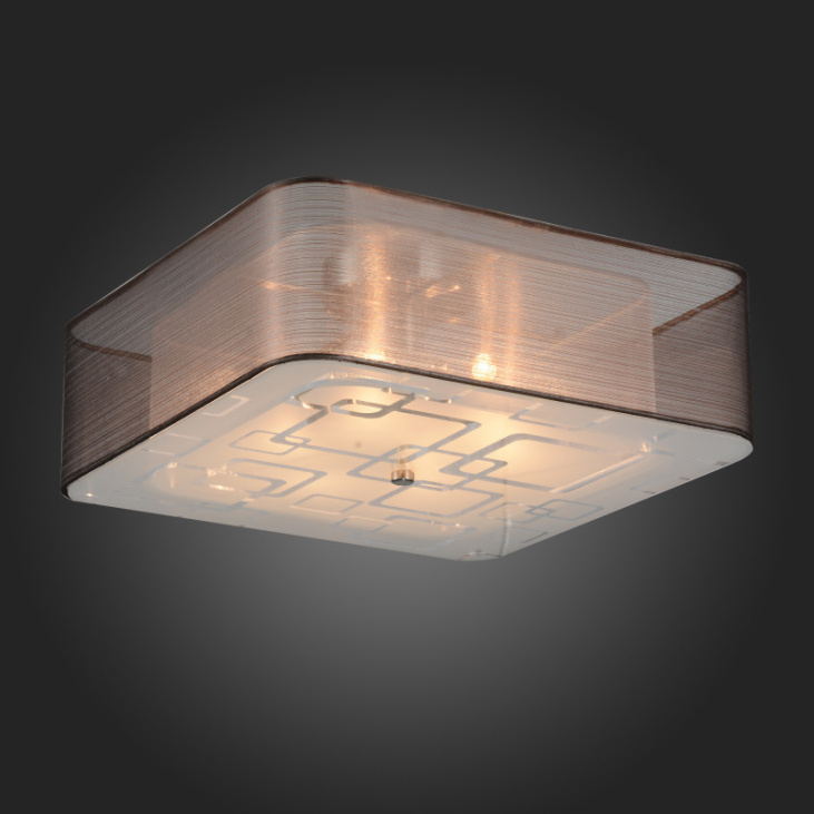 картинка Накладной светильник SL940.802.06