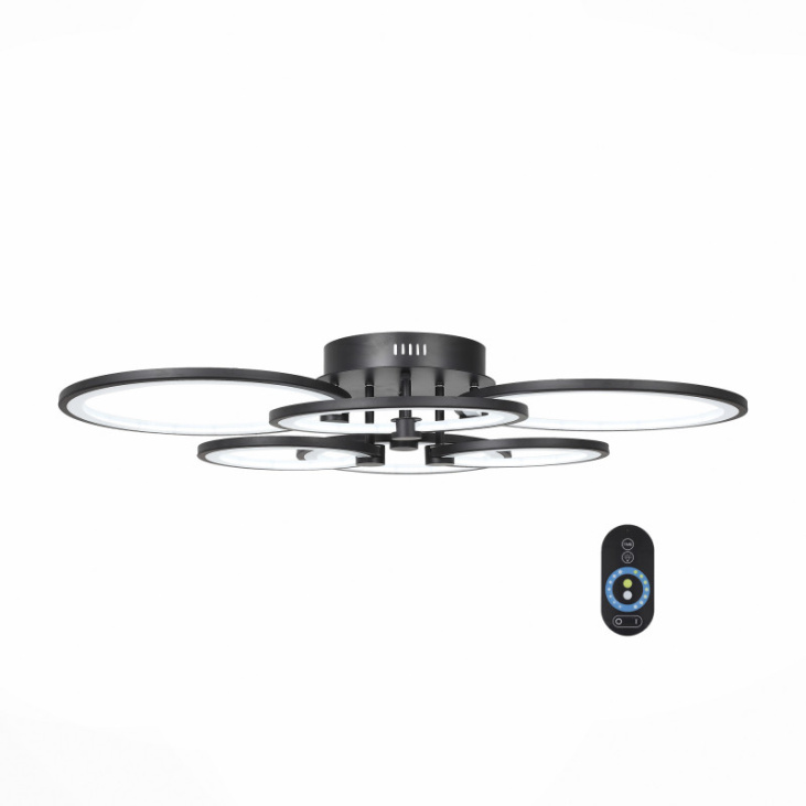 картинка Накладной светильник SL867.402.06