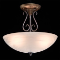 картинка Потолочный светильник Аида 323012603