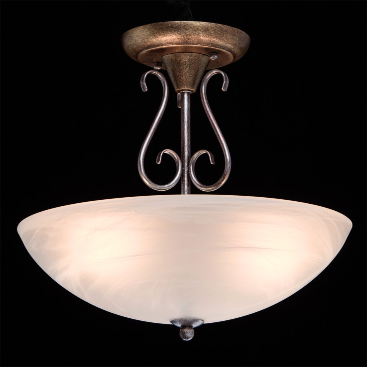 картинка Потолочный светильник Аида 323012603