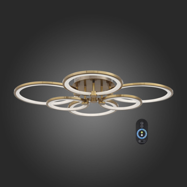 картинка Накладной светильник SL867.302.06