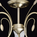 картинка Потолочный светильник Флора 256018103