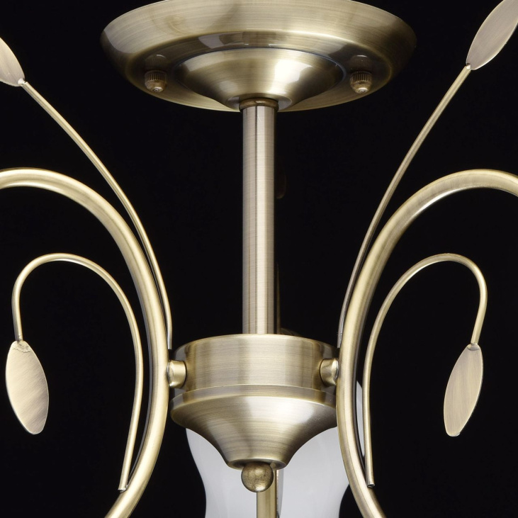 картинка Потолочный светильник Флора 256018103