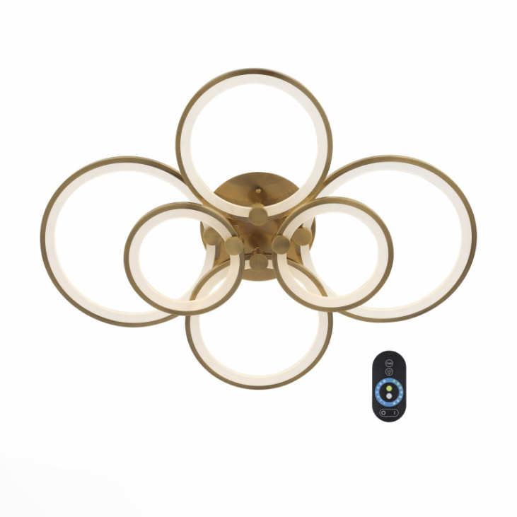 картинка Накладной светильник SL867.302.06