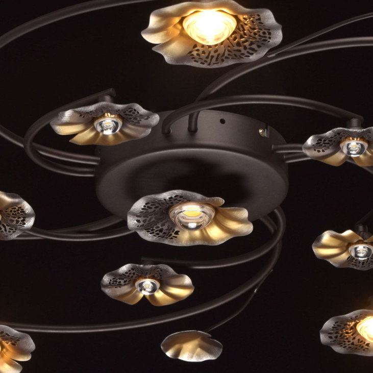 картинка Потолочный светильник Адриатика 280011611