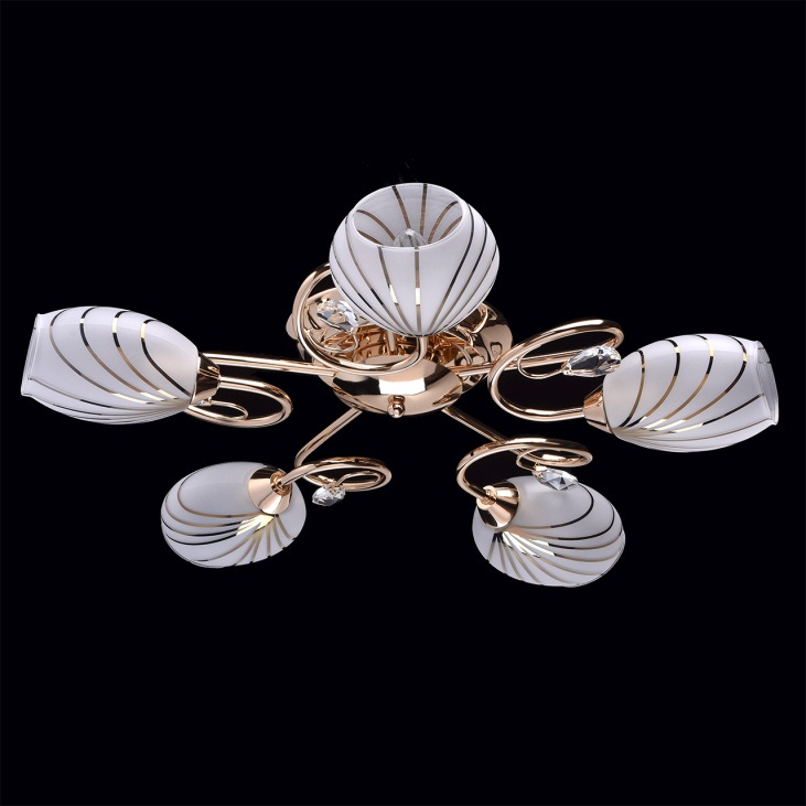 картинка Потолочный светильник Фиеста 267012005