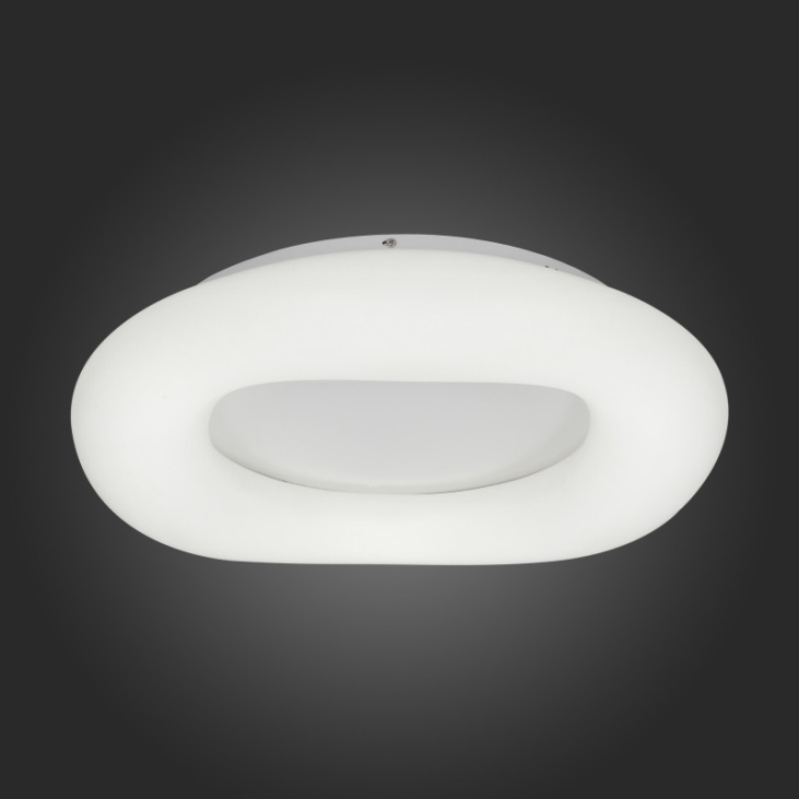 картинка Накладной светильник SL960.532.01D