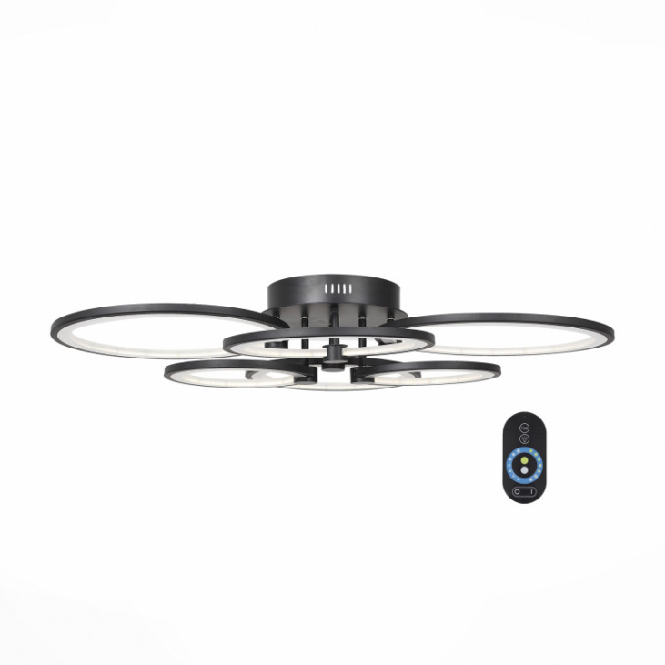 картинка Накладной светильник SL867.402.06