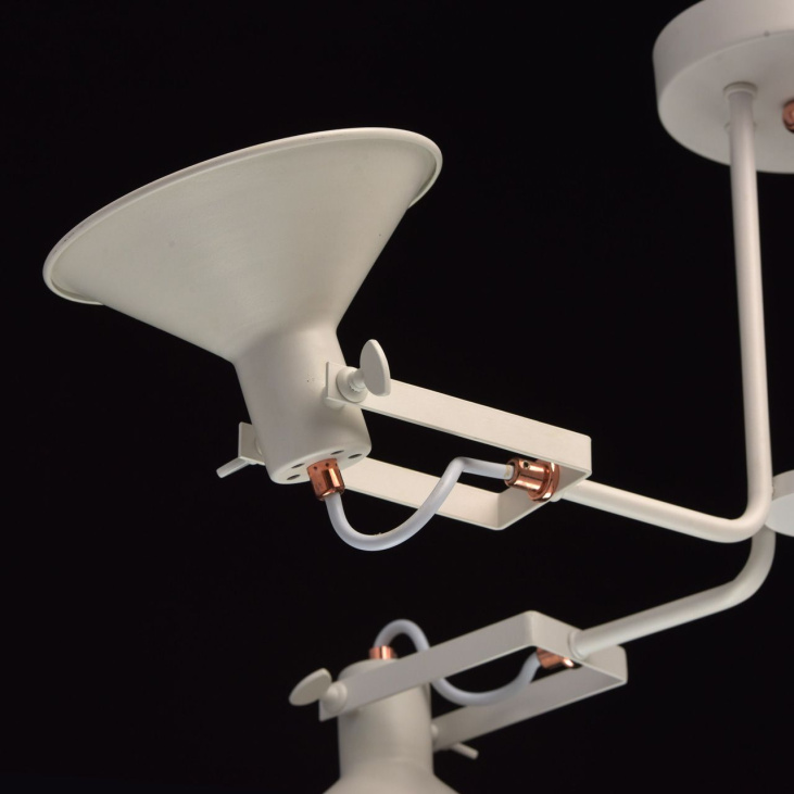 картинка Потолочный светильник Таун 691010705