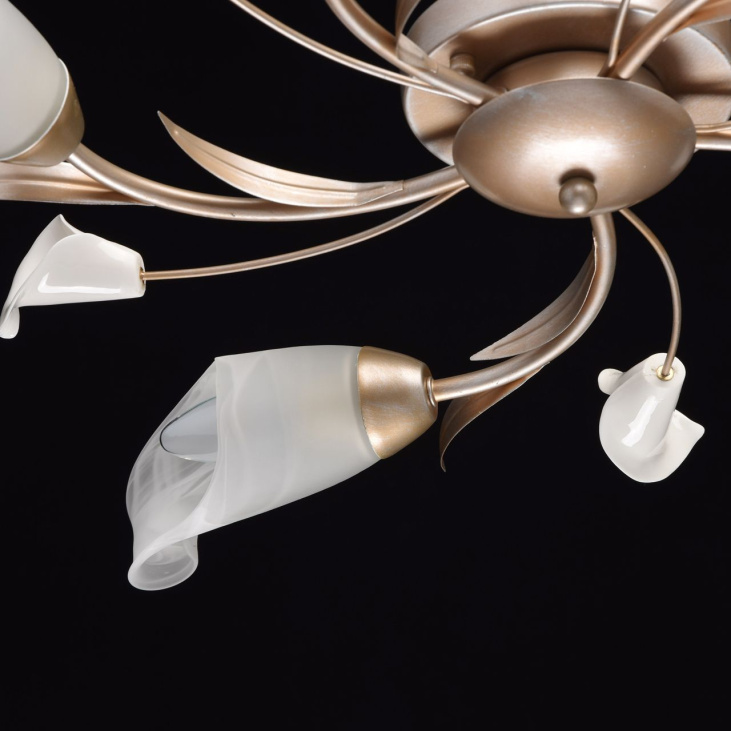 картинка Потолочный светильник Восторг 242016205