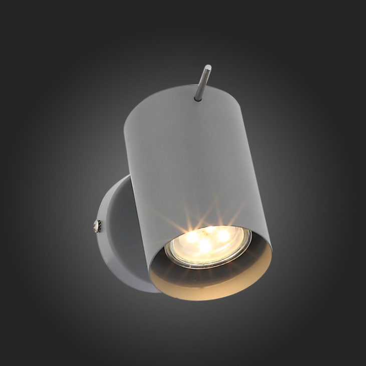 картинка Спот SL597.701.01