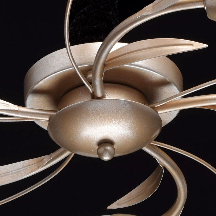 картинка Потолочный светильник Восторг 242016205