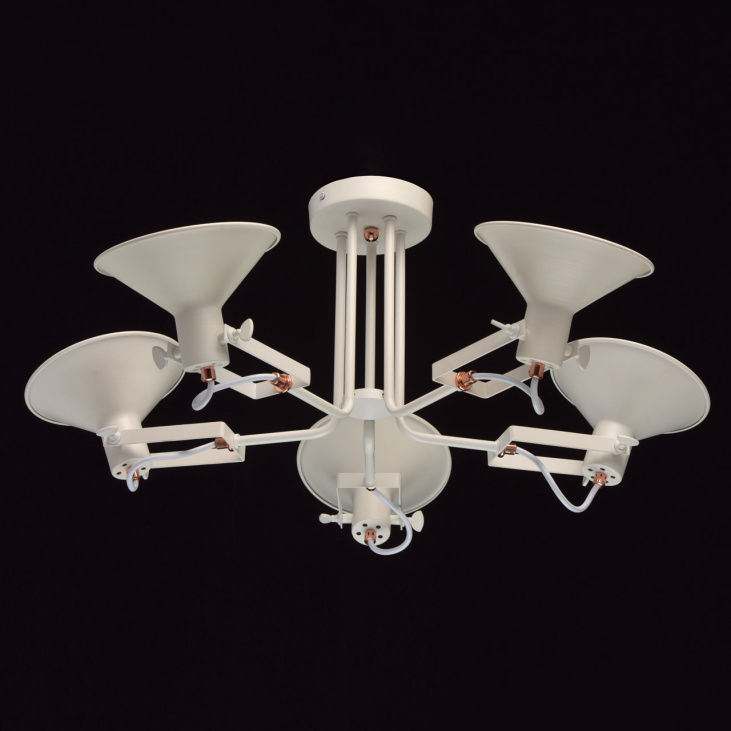 картинка Потолочный светильник Таун 691010705