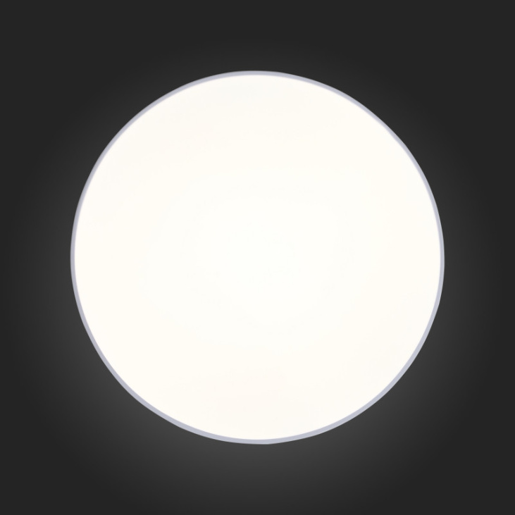 картинка Накладной светильник SL417.502.01