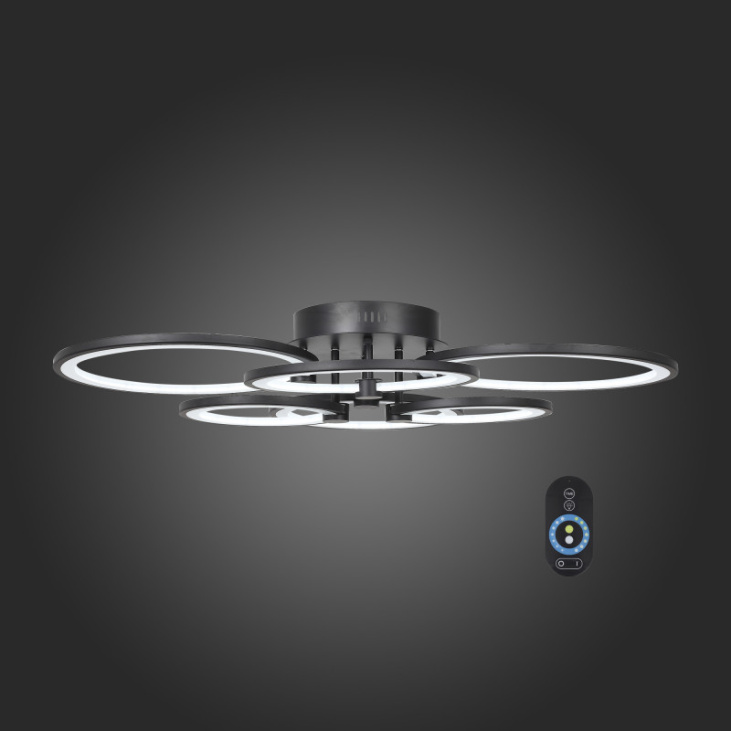 картинка Накладной светильник SL867.402.06