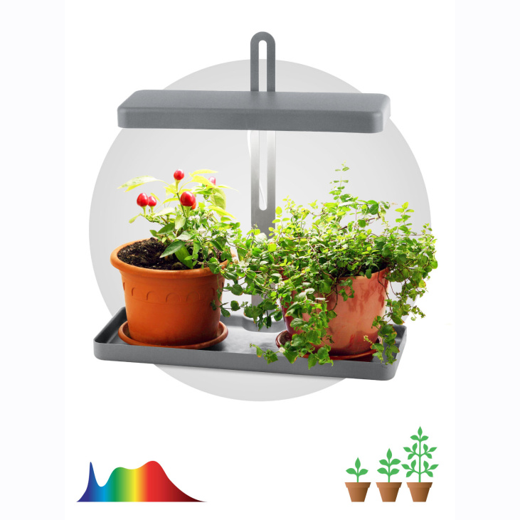 картинка Фитосветильник FITO-20W-QLED-G