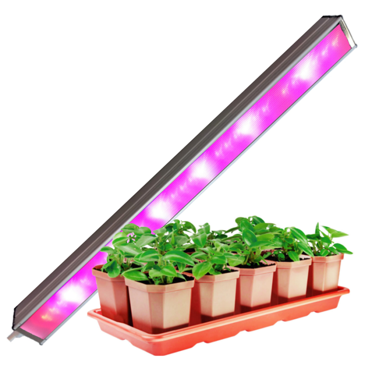 картинка Фитосветильник SSO-220/24-05.2(FGO-VP)