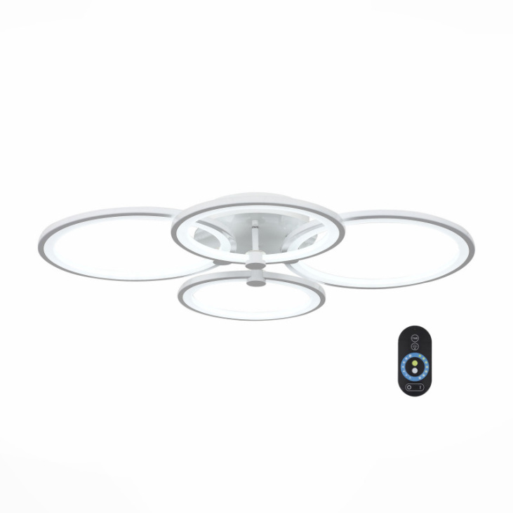 картинка Накладной светильник SL867.502.04