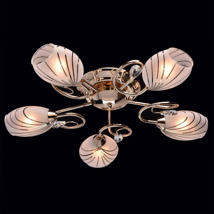 картинка Потолочный светильник Фиеста 267012005