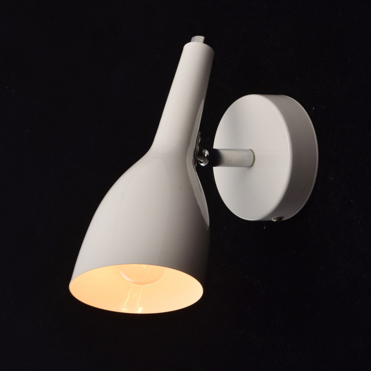 картинка Спот Астор 545022401