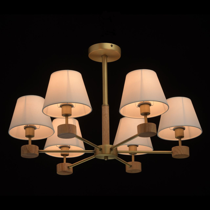 картинка Потолочный светильник Форест 693011606