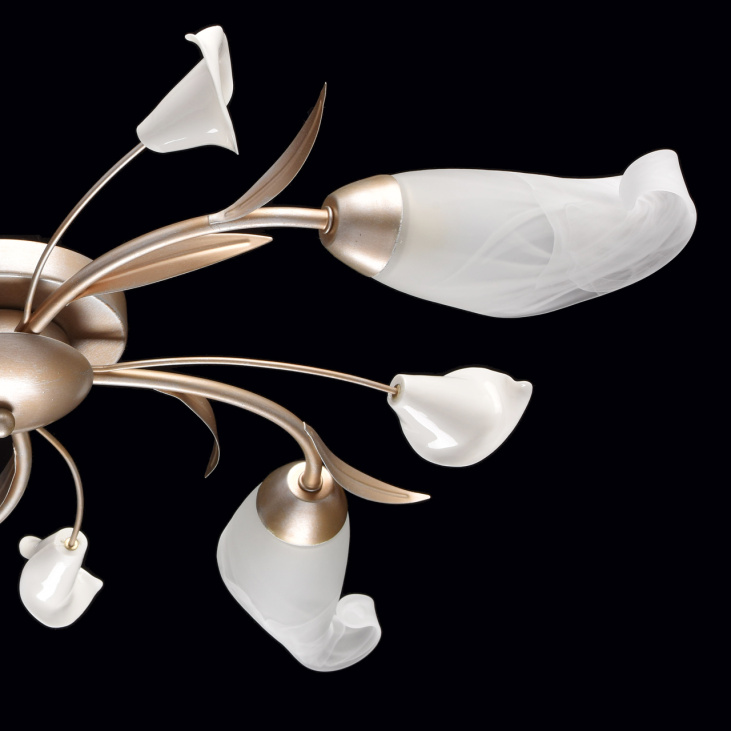 картинка Потолочный светильник Восторг 242016205