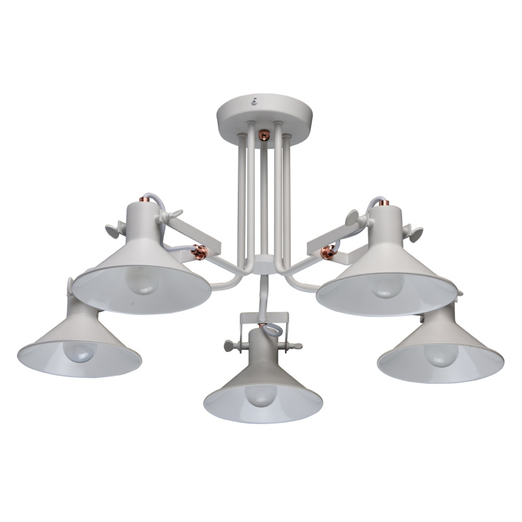 картинка Потолочный светильник Таун 691010705