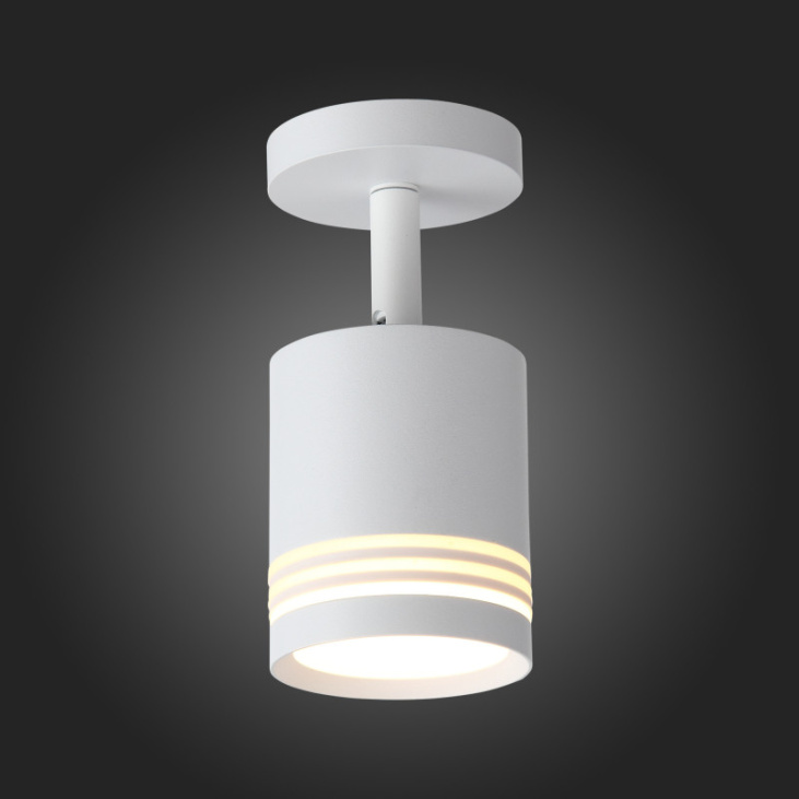 картинка Спот ST101.512.05