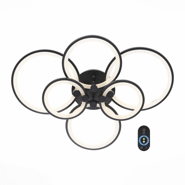 картинка Накладной светильник SL867.402.06